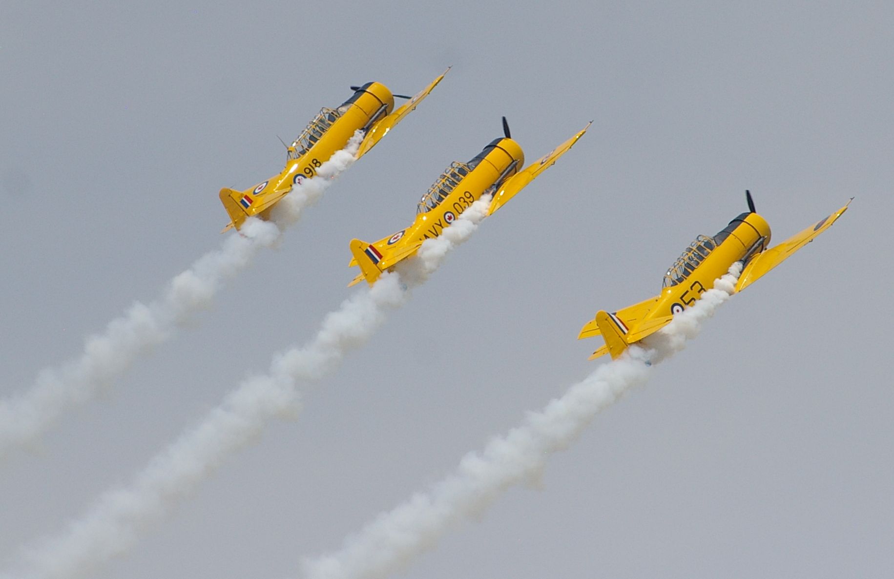 Harvards