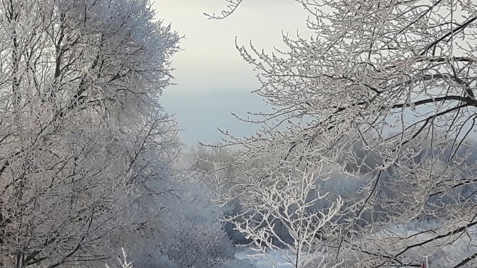 Ice Storm