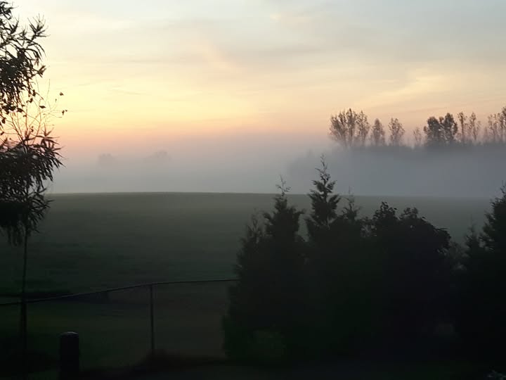 Misty Morning