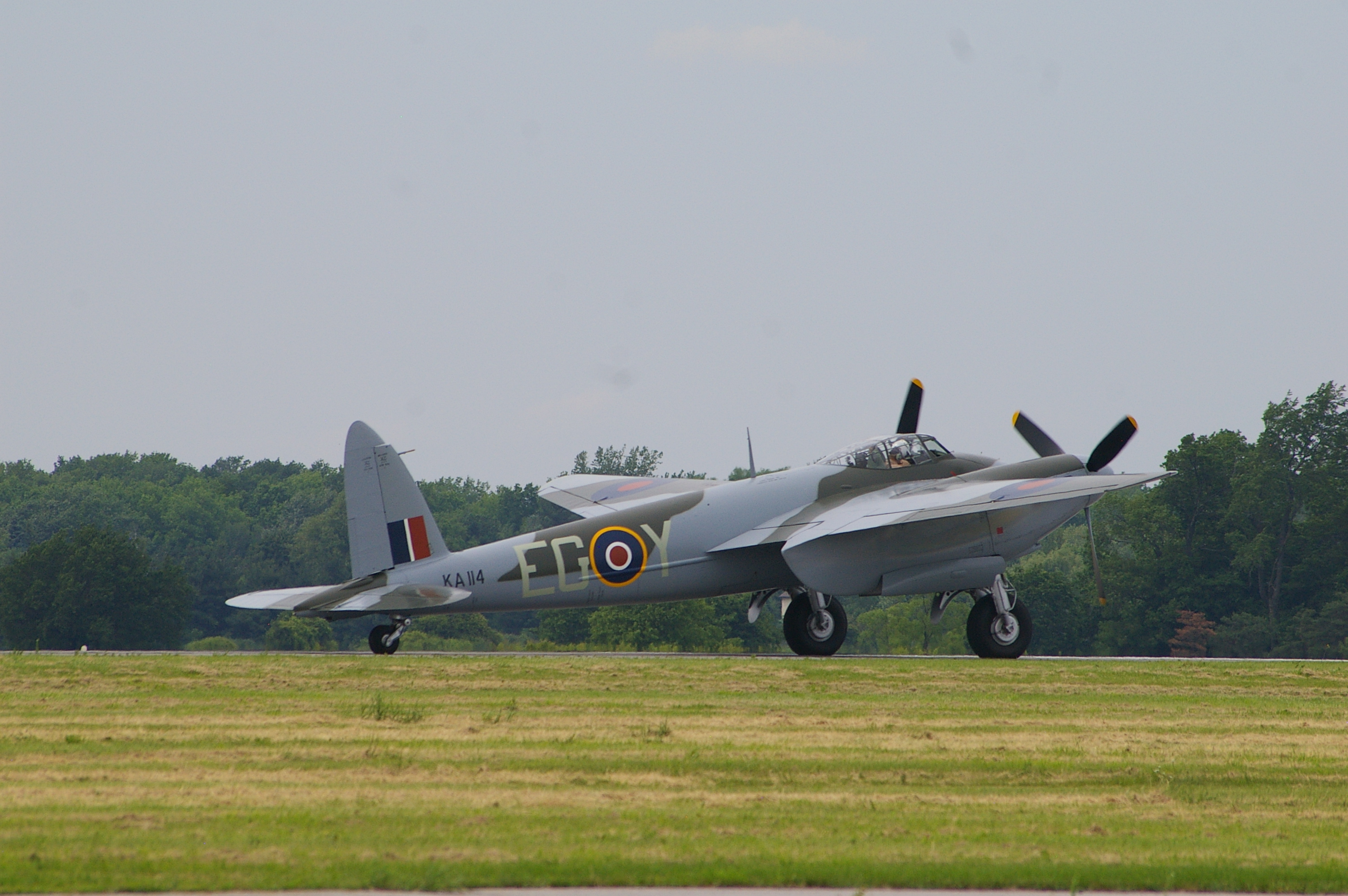 Mosquito