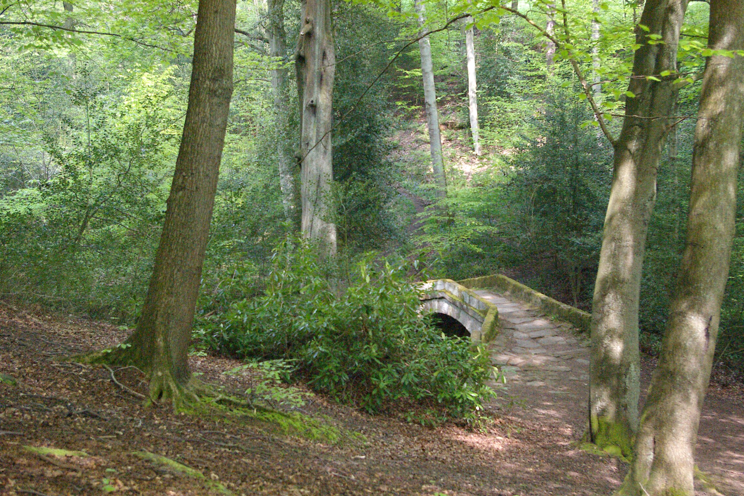 Packhorse Bridge