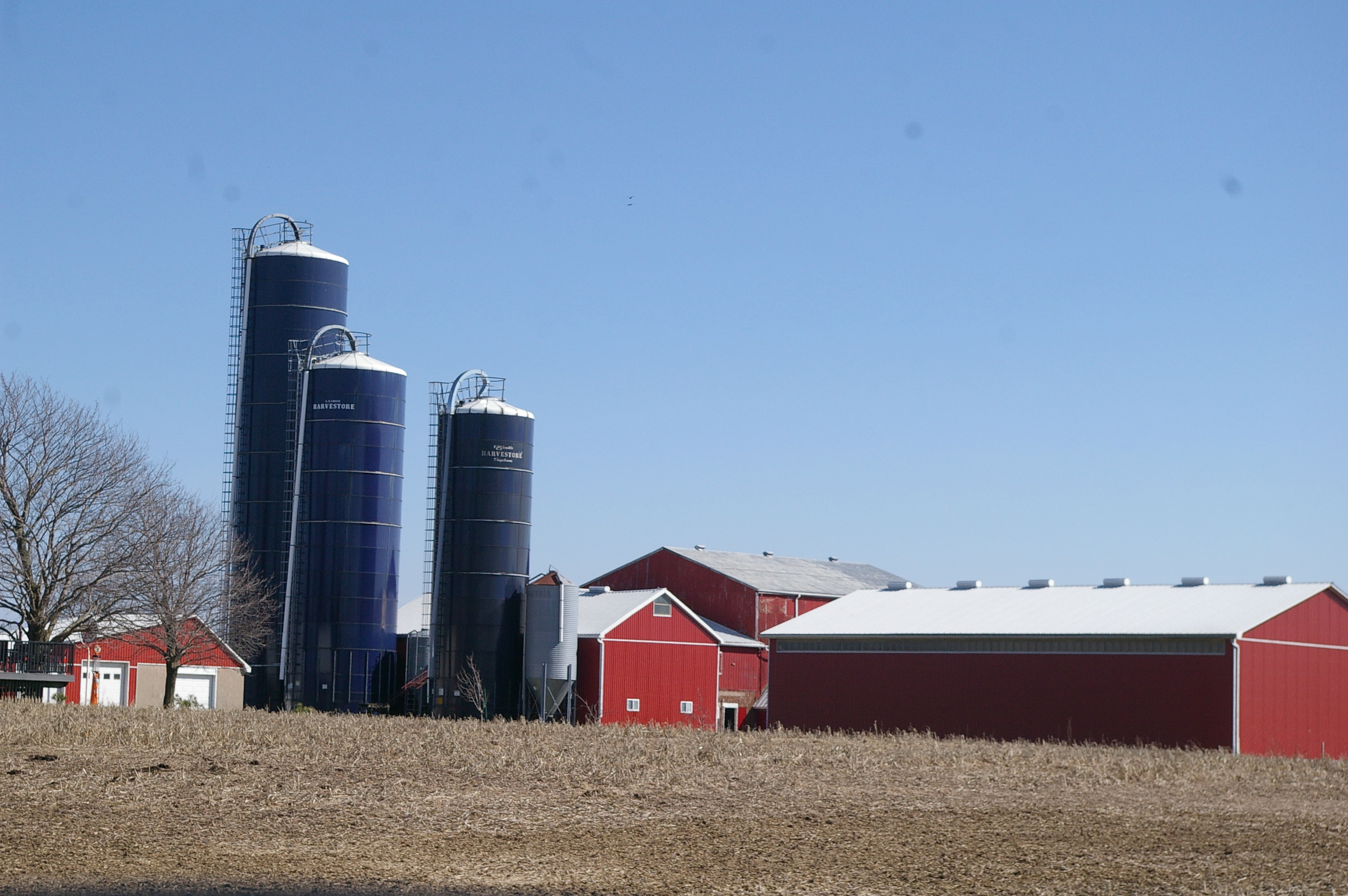 Red Farm