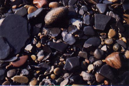 Beach Stones