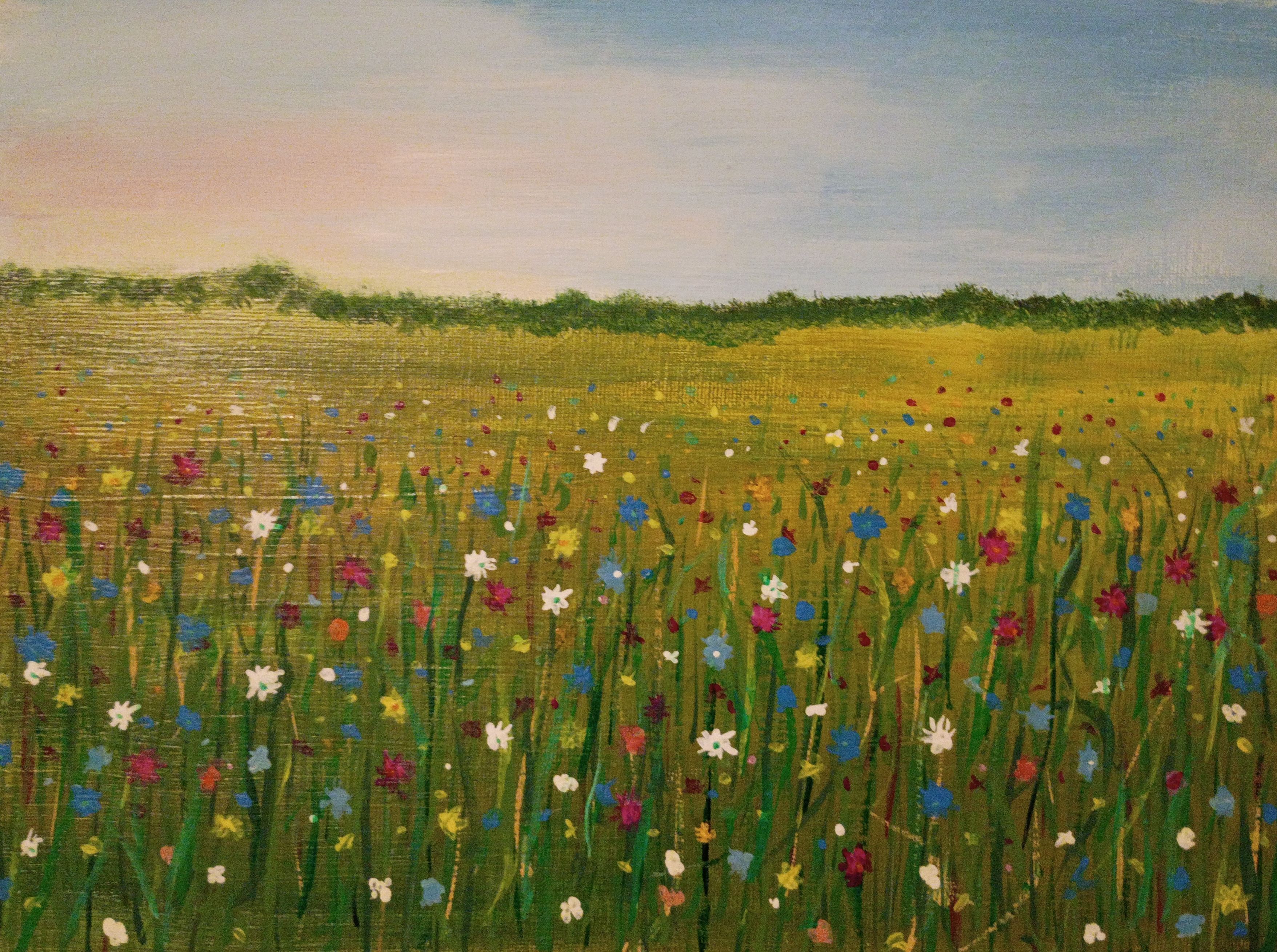 Wildflower Field